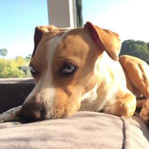 Meet your Posher, Robert